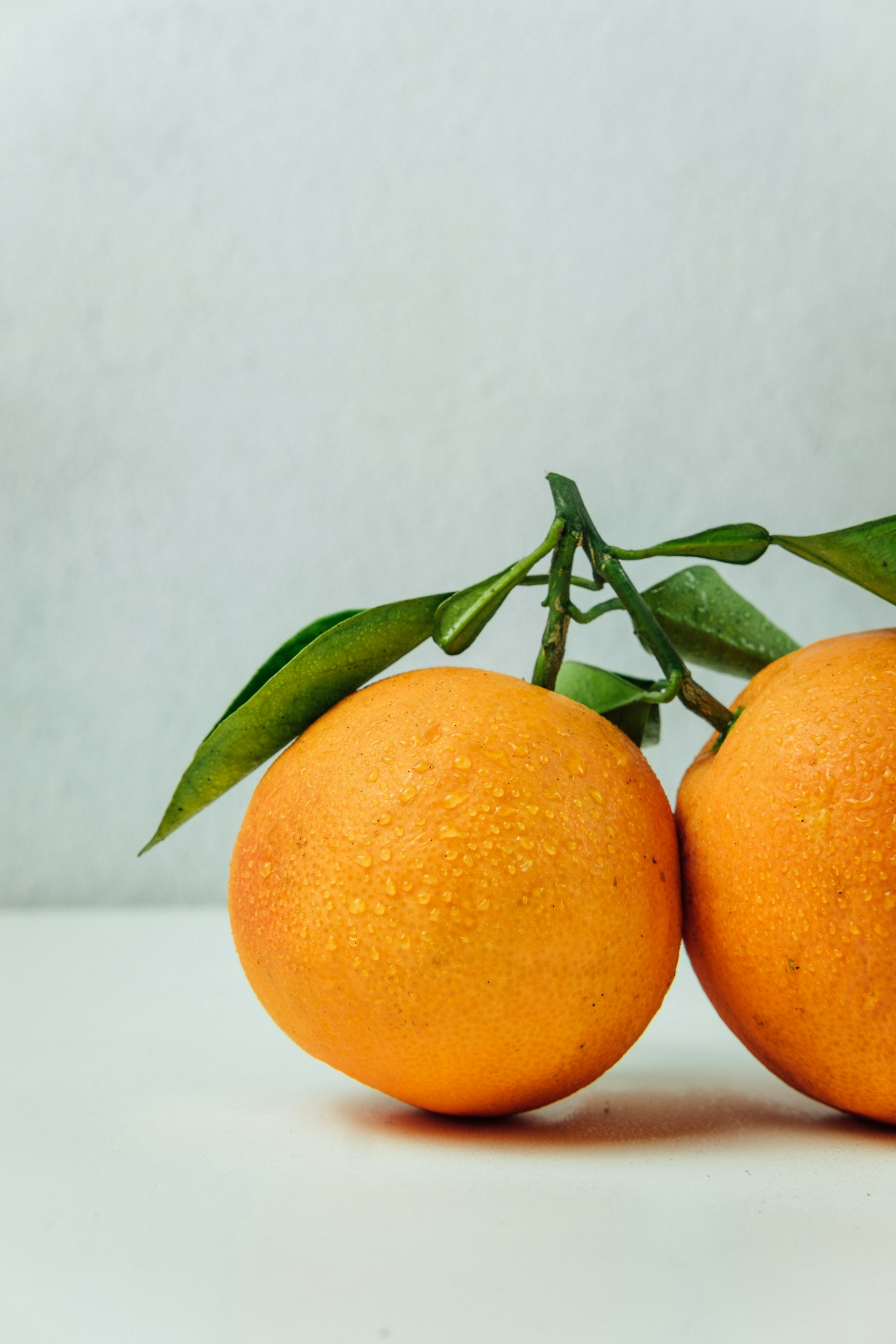 Cut citrus, the raw material of the opening chord