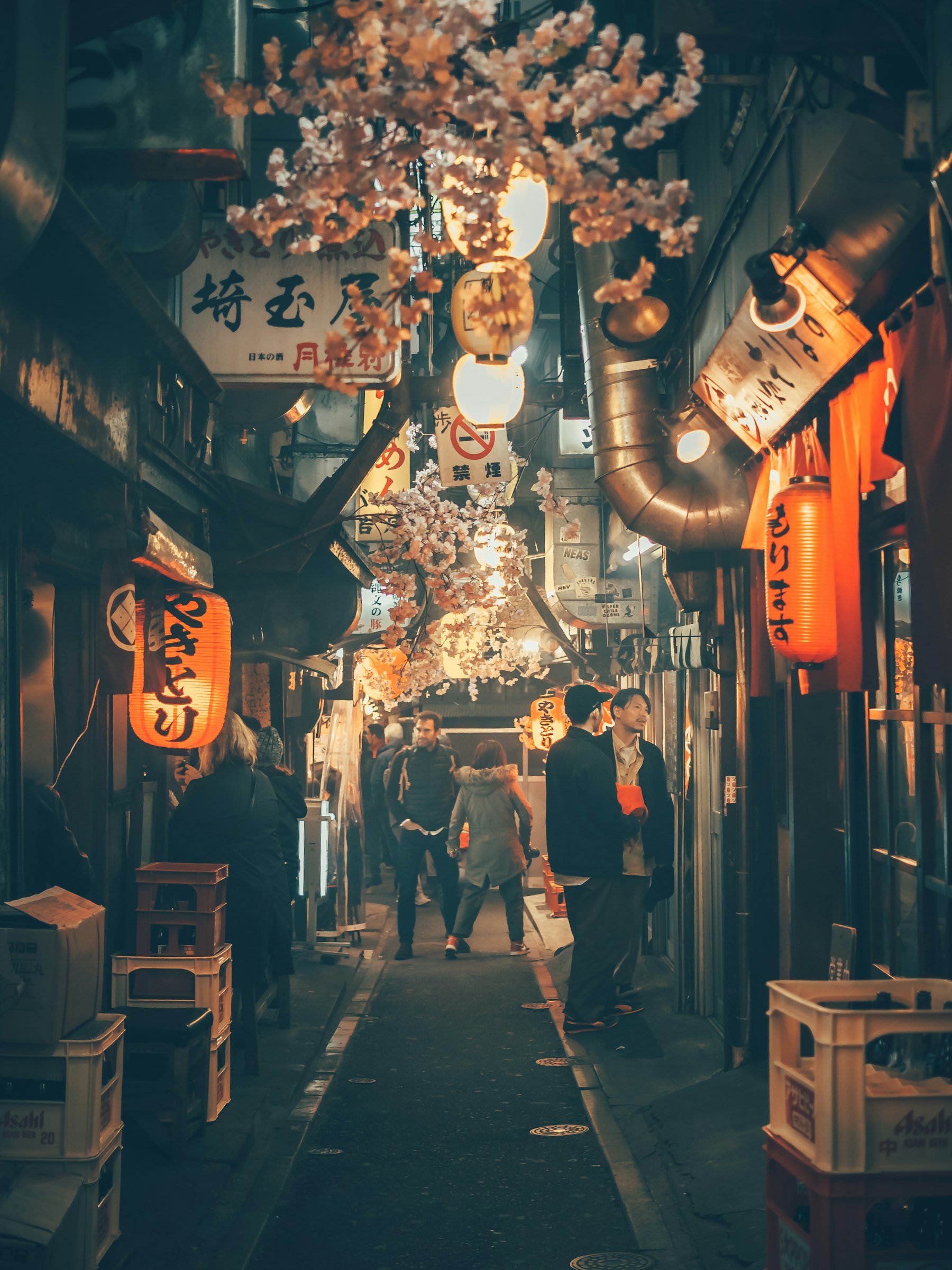 Night cherry blossoms over a lantern-lit lane