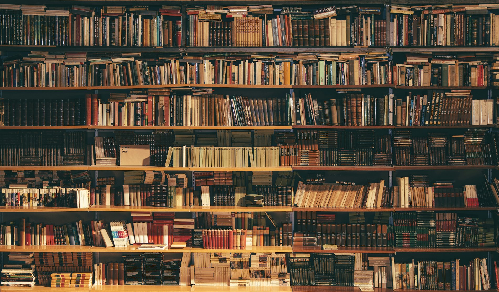 The chambers library — floor to ceiling, worked daily